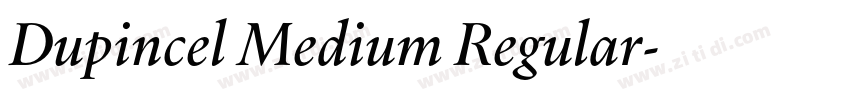 Dupincel Medium Regular字体转换